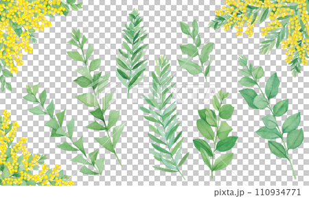 三種類のミモザの葉とコーナー飾りのセット 110934771