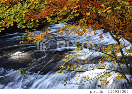恵庭渓谷の紅葉 恵庭渓谷の紅葉 110935063