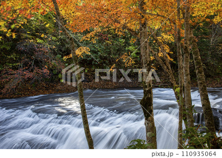 恵庭渓谷の紅葉 恵庭渓谷の紅葉 110935064