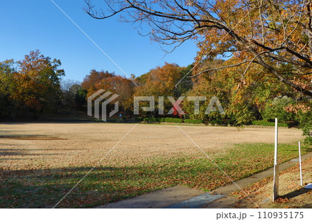 南志津公園 南志津公園 110935175