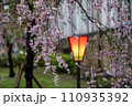 枝垂れ桜と灯籠 大阪造幣局 桜の通り抜け 110935392
