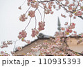 素敵な八重桜 大阪造幣局 桜の通り抜け 110935393
