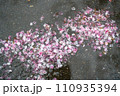 雨で散った桜の花びら 110935394