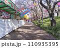 早朝の屋台と桜並木（桜まつり） 110935395