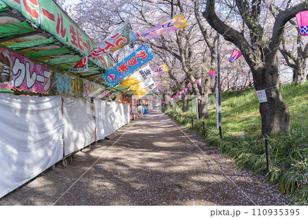 早朝の屋台と桜並木（桜まつり） 110935395
