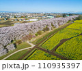 桜並木と菜の花畑のドローン空撮 110935397