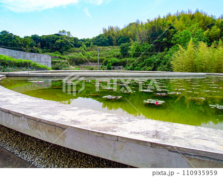 本福寺 水御堂 110935959