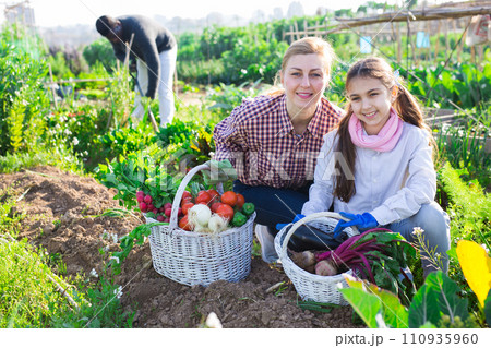Portrait of a young woman with a teenage girl in the vegetable garden with a basket of crops 110935960