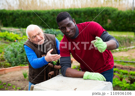 Gardeners talking together ponting to field with vegetables 110936106