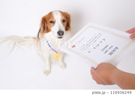 表彰状と金メダルを首にかけたコーイケルホンディエ 110936249