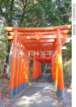 城山八幡宮(恋の三社巡り)豊玉稲荷神社6 城山八幡宮(恋の三社巡り)豊玉稲荷神社6 110936416