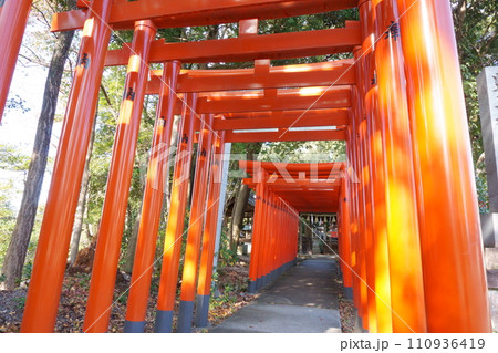 城山八幡宮(恋の三社巡り)豊玉稲荷神社4 城山八幡宮(恋の三社巡り)豊玉稲荷神社4 110936419