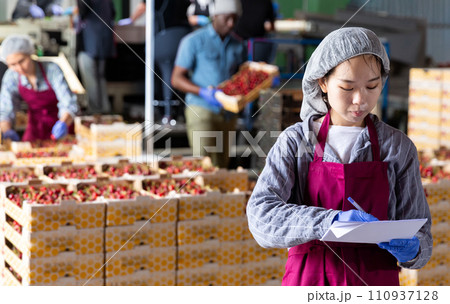 Manager writes down results of checking sorting of ripe cherries in notebook Manager writes down results of checking sorting of ripe cherries in notebook 110937128