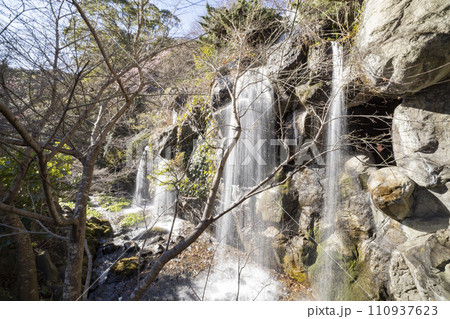 静岡県・熱海梅園の冬の梅見の滝 静岡県・熱海梅園の冬の梅見の滝 110937623