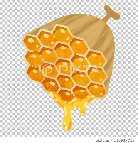 水彩風格的蜂巢滴蜂蜜的插圖 110937713