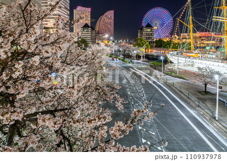 【神奈川県】横浜みなとみらいに咲く満開の夜桜 110937978