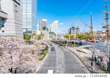 【神奈川県】満開の桜が綺麗な横浜みなとみらい 110938080