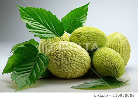Breadfruit closeup on a light background Breadfruit closeup on a light background 110938088