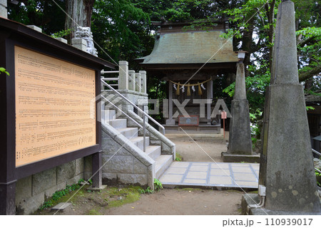 艫(とも)神社にバラを見に　＃44 110939017