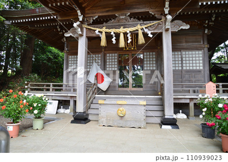 艫(とも)神社にバラを見に #50 艫(とも)神社にバラを見に #50 110939023