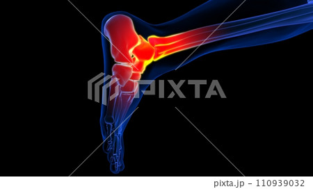 Ankle joint pain anatomy for medical concept 3D rendering Ankle joint pain anatomy for medical concept 3D rendering 110939032