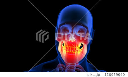 Human teeth pain anatomy for medical concept 3D rendering 110939040