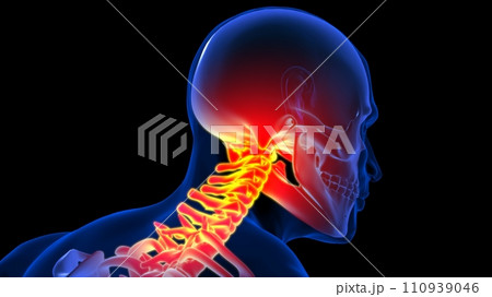 Human skeleton neck or cervical pain anatomy for medical concept 3D illustration Human skeleton neck or cervical pain anatomy for medical concept 3D illustration 110939046