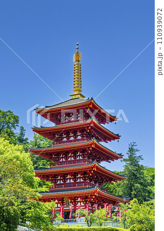 東京都・日野市　高幡不動尊金剛寺　五重塔 110939072