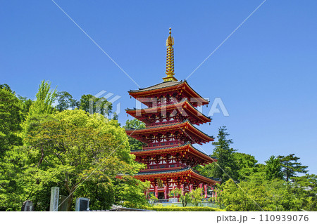 東京都・日野市　高幡不動尊金剛寺　五重塔 110939076