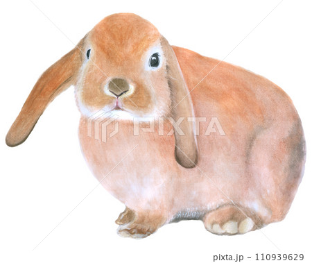 Rabbit Easter animal with flower watercolor Rabbit Easter animal with flower watercolor 110939629