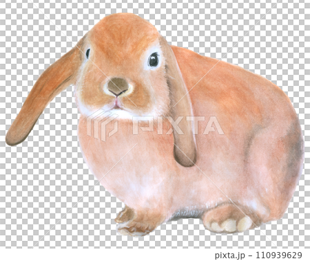 Rabbit Easter animal with flower watercolor Rabbit Easter animal with flower watercolor 110939629