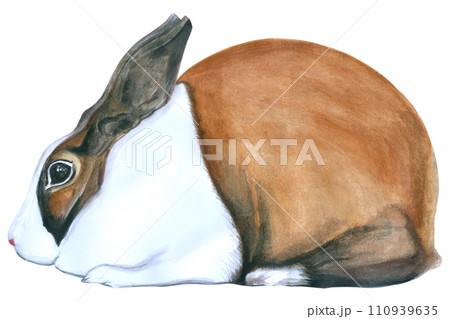 Rabbit Easter animal with flower watercolor Rabbit Easter animal with flower watercolor 110939635