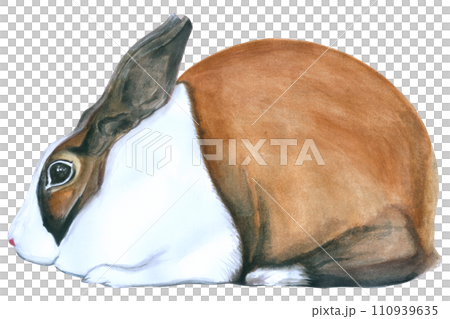 Rabbit Easter animal with flower watercolor Rabbit Easter animal with flower watercolor 110939635