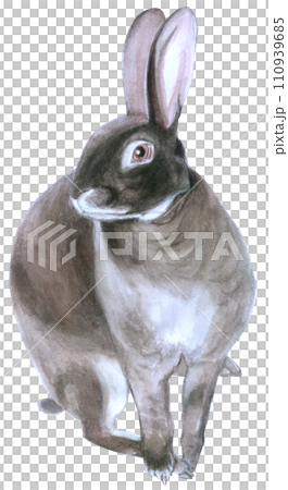 Rabbit Easter animal with flower watercolor 110939685