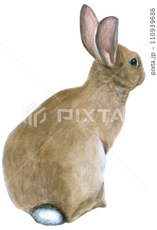 Rabbit Easter animal with flower watercolor Rabbit Easter animal with flower watercolor 110939686