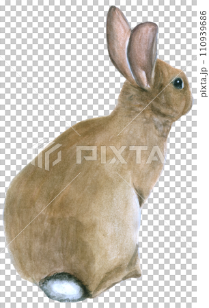 Rabbit Easter animal with flower watercolor Rabbit Easter animal with flower watercolor 110939686