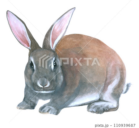 Rabbit Easter animal with flower watercolor Rabbit Easter animal with flower watercolor 110939687