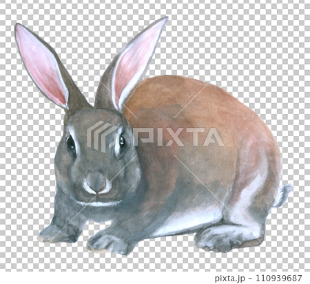 Rabbit Easter animal with flower watercolor Rabbit Easter animal with flower watercolor 110939687