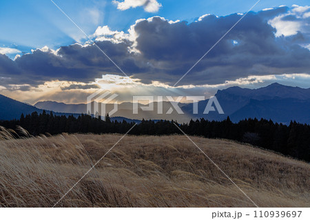 寒風吹きすさぶ曽爾高原にて 強風によってなぎ倒されるすすきの頬と大空の天使の梯子① 寒風吹きすさぶ曽爾高原にて 強風によってなぎ倒されるすすきの頬と大空の天使の梯子① 110939697