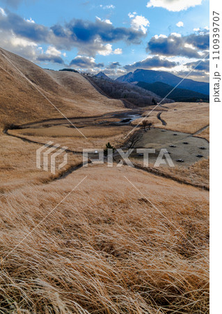 寒風吹きすさぶ曽爾高原にて　風になびくすすきと高原全景① 110939707