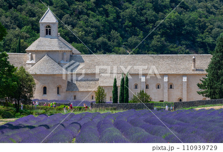 Senanque Abbey Gordes Provence Lavender fields Notre-Dame de Senanque 110939729