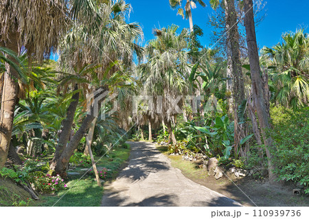 【奄美の里】 鹿児島県鹿児島市南栄 110939736