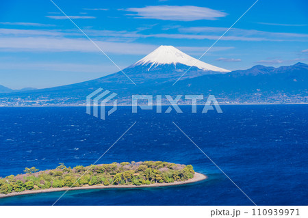 (静岡県)大瀬崎(おせざき)から海越しの富士山 (静岡県)大瀬崎(おせざき)から海越しの富士山 110939971