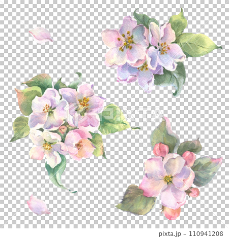 Watercolor apple tree branch and flowers, blooming tree on white background, isolated watercolor illustration. It's perfect for wedding cards and invitations, mothers day and valentines card Watercolor apple tree branch and flowers, blooming tree on white background, isolated watercolor illustration. It's perfect for wedding cards and invitations, mothers day and valentines card 110941208
