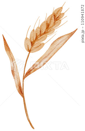 Thanksgiving autunm fall watercolor clipart 110941872