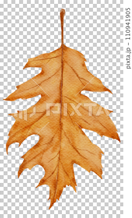 Thanksgiving autunm fall watercolor clipart Thanksgiving autunm fall watercolor clipart 110941905