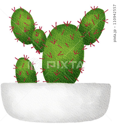 Cactus succulent plant watercolor 110942557