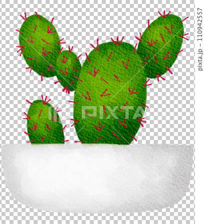 Cactus succulent plant watercolor 110942557