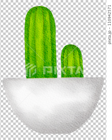 Cactus succulent plant watercolor 110942571