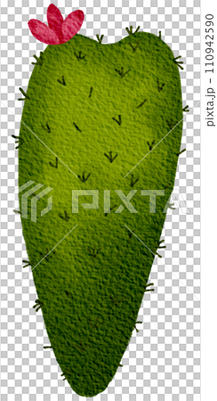 Cactus succulent plant watercolor 110942590